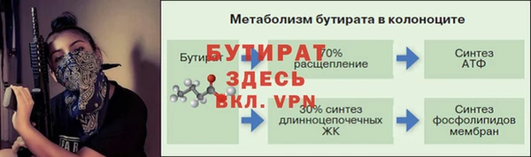 спайс Богданович